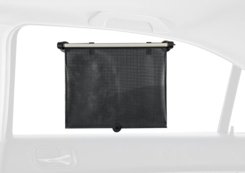 Windshield Sunshades Auto Expressions 4001004