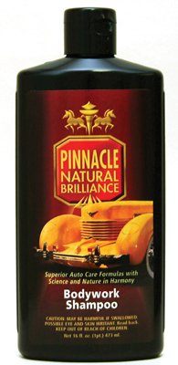 Car Wash Equipment Pinnacle Natural Brilliance PIN-100