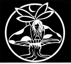 Decals Chroma Graphics 3632