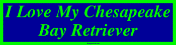 Bumper Stickers  
