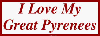 Bumper Stickers  