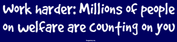 Bumper Stickers  