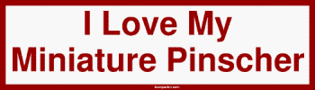 Bumper Stickers  