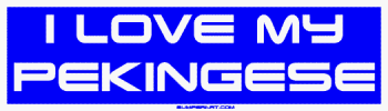 Bumper Stickers  