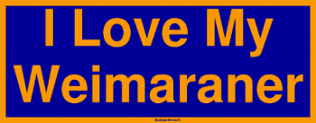 I Love My Weimaraner Bumper Sticker Bumper Stickers