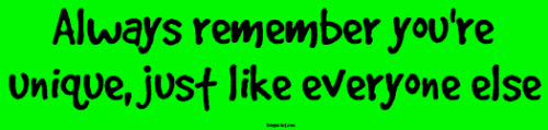 Bumper Stickers  