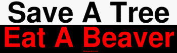 Save A Tree Eat A Beaver Bumper Sticker Bumper Stickers