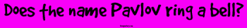 Bumper Stickers  