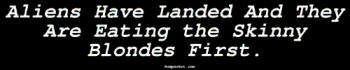 Bumper Stickers  