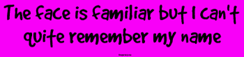 Bumper Stickers  
