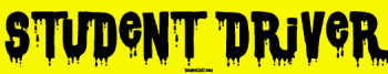 STUDENT DRIVER Large Bumper Sticker Bumper Stickers