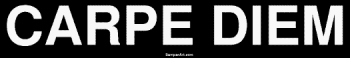 Bumper Stickers  