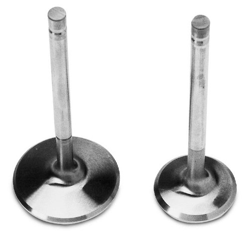 Intake Valves Edelbrock 9770