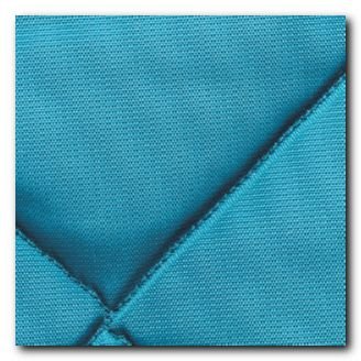 Universal Pet Pads in Teal Cargo area pet pad (KP00030TL) Categories Covercraft KP00030TL