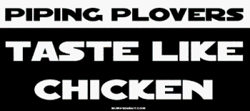 Bumper Stickers  