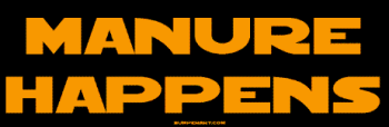 Bumper Stickers  