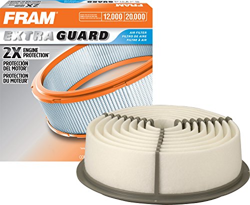 Air Filters Fram CA4939