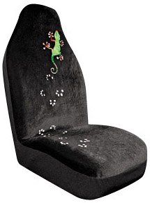 Accessories Auto Expressions 5046398