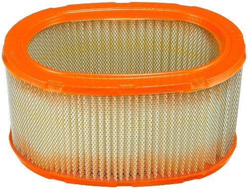 Air Filters Fram CA3785