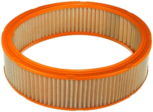 Air Filters Fram CA3602