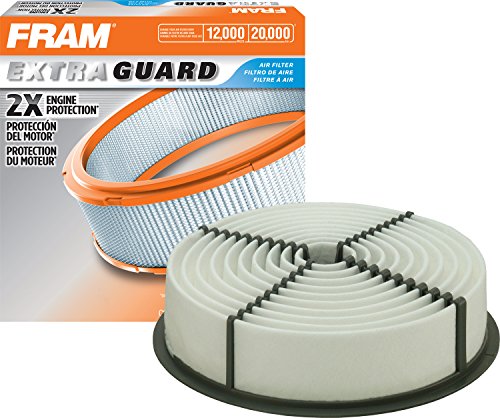 Air Filters Fram CA6821