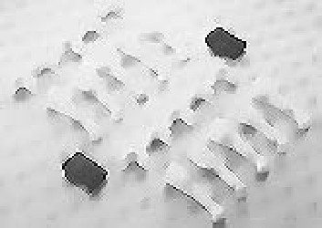 Accessories Ammco 8106568