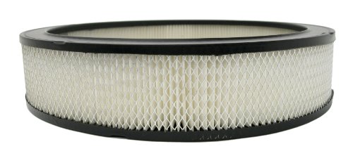 Air Filters ACDelco A212CW