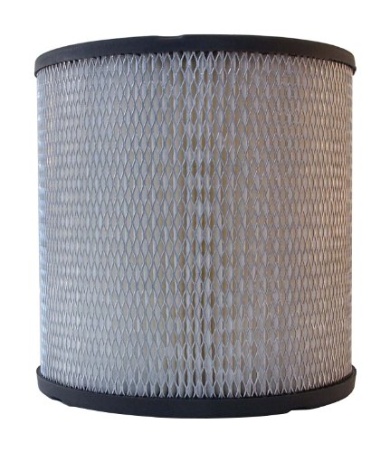 Air Filters ACDelco A925C