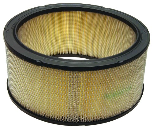 Air Filters ACDelco A753C