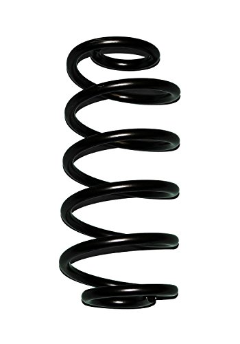 Coil Springs Skyjacker TJ25R