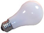 Halogen Bulbs  