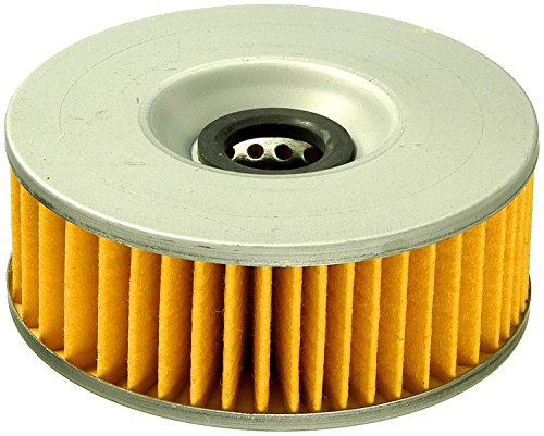 Oil Filters Fram CH6002