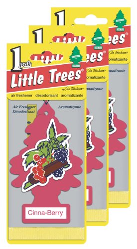 Air Fresheners Car Freshner 32018