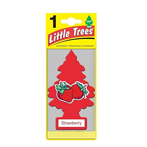 Air Fresheners Car Freshner 10312