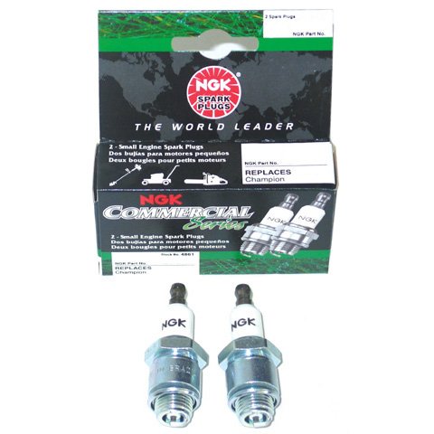 Spark Plugs NGK 4862