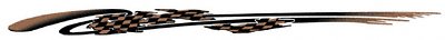 AutoTrim Express 85038 Speedway Graphic, Ebony/Bronze Decals Auto Trim Express 85038