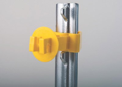 Coil Springs Dare SNUG-XLSTP-25