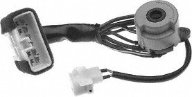 Lock Cylinders BorgWarner CS487