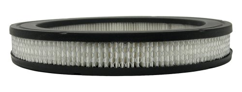 Air Filters Champ Labs AF142