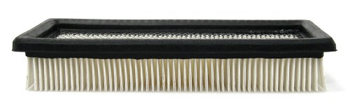 Air Filters Champ Labs AF875