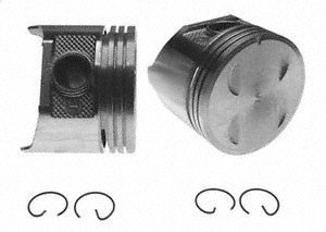 Pistons Clevite 77 224-1921