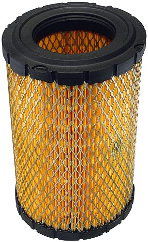 FRAM TGA8038S Tough Guard Air Filter Air Filters Fram TGA8038S