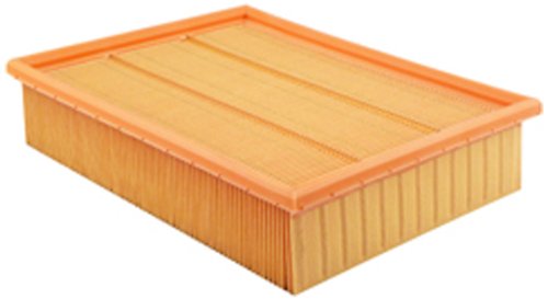 Air Filters Hastings Filters AF1094