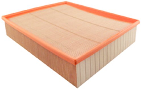 Air Filters Hastings Filters AF1233