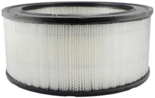 Air Filters Hastings Filters AF2242