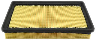 Air Filters Hastings Filters AF1102