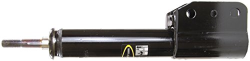 Struts Monroe 71831