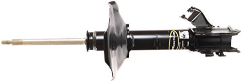 Struts Monroe 71900