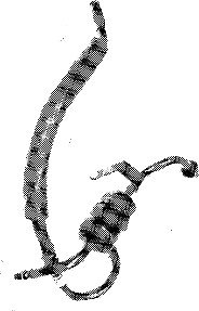 Discharge Hoses Motorcraft YF2032