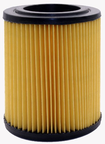 Air Filters Purolator A25456